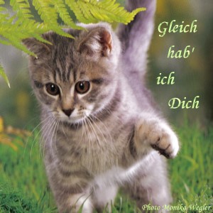  Gleich hab' ich dich