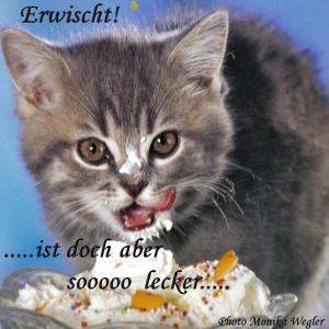  Erwischt! Ist doch aber sooo lecker!