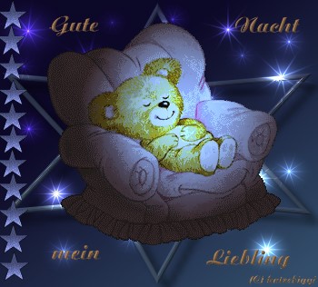  Gute Nacht mein Liebling